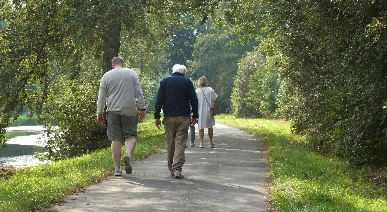 Wandelen bij Woods
