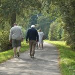 Wandelen bij Woods