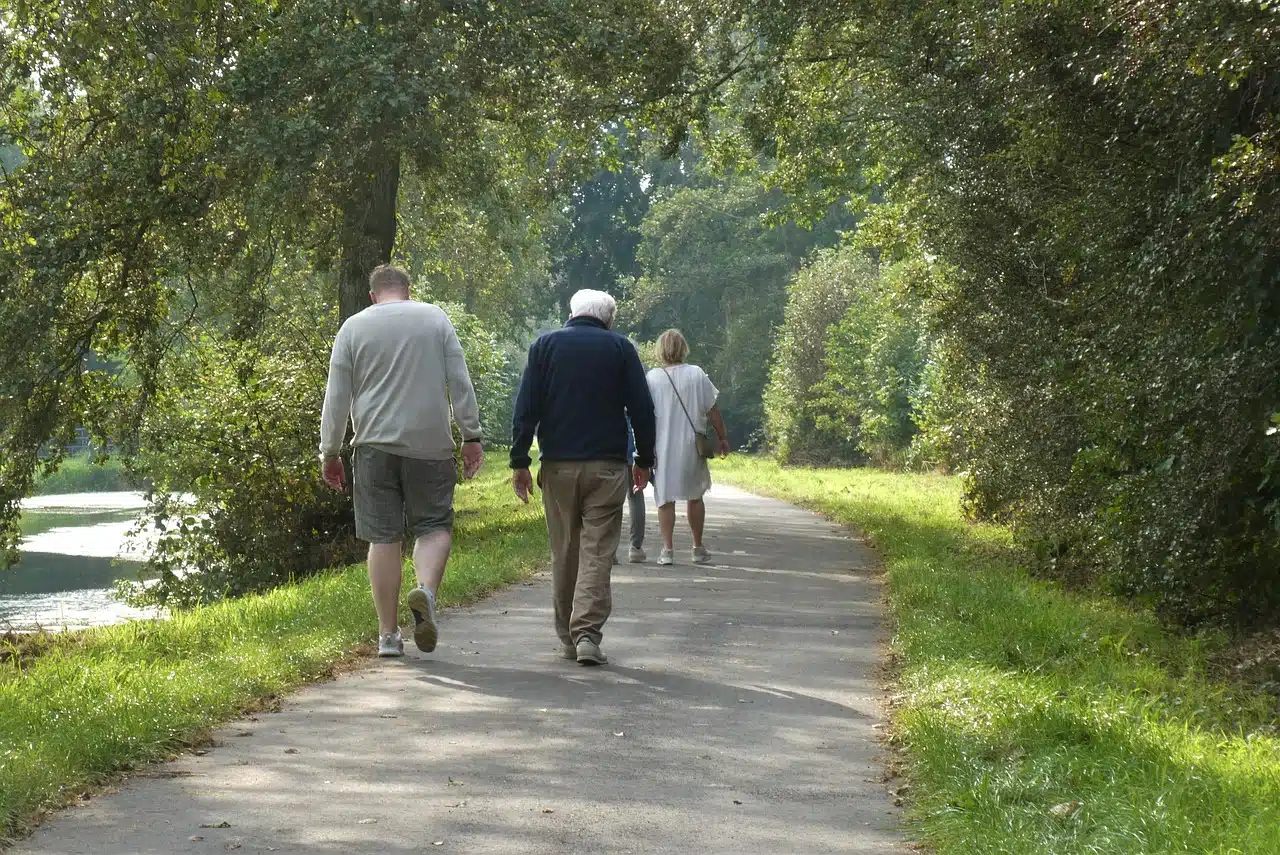 Wandelen bij Woods