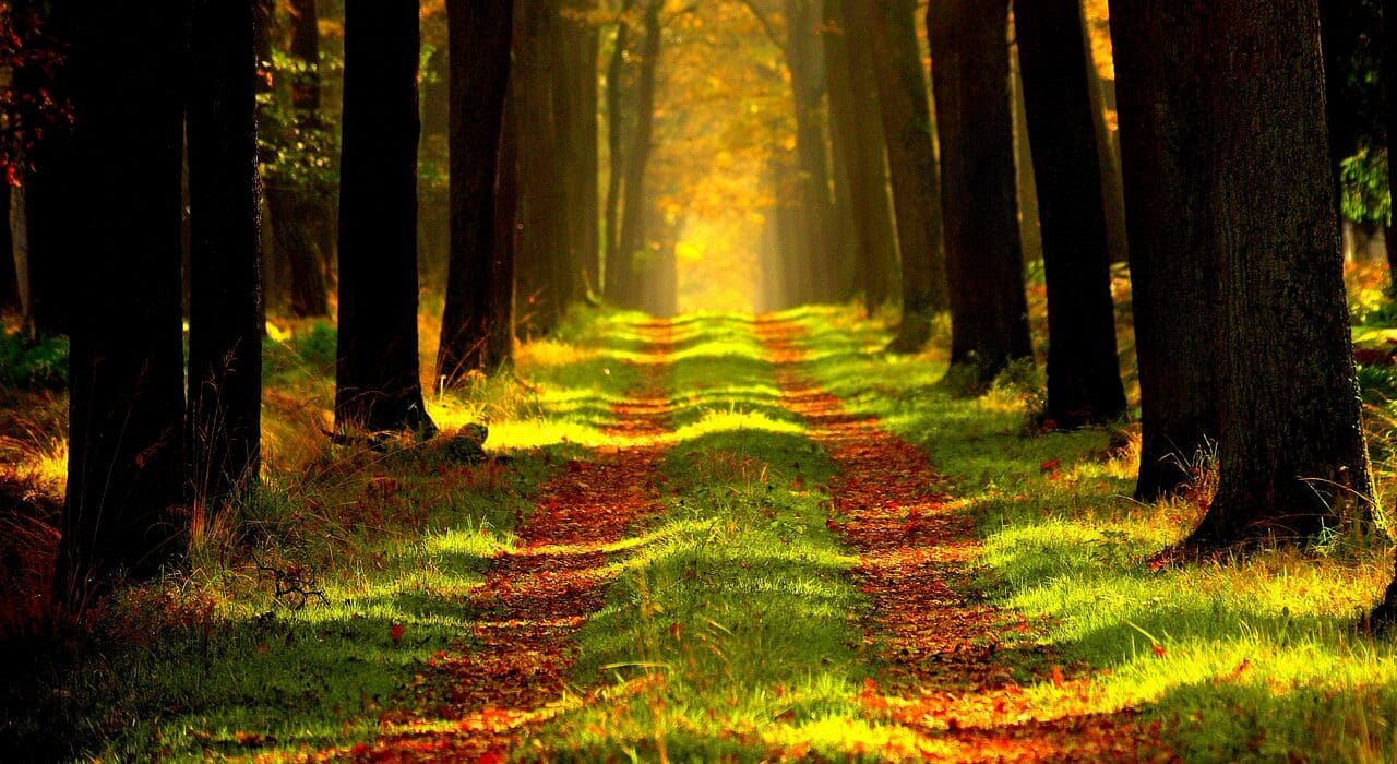 Wandelen: “Om de Haenen” Golfclub Teteringen