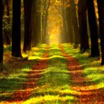 Wandelen: “Om de Haenen” Golfclub Teteringen